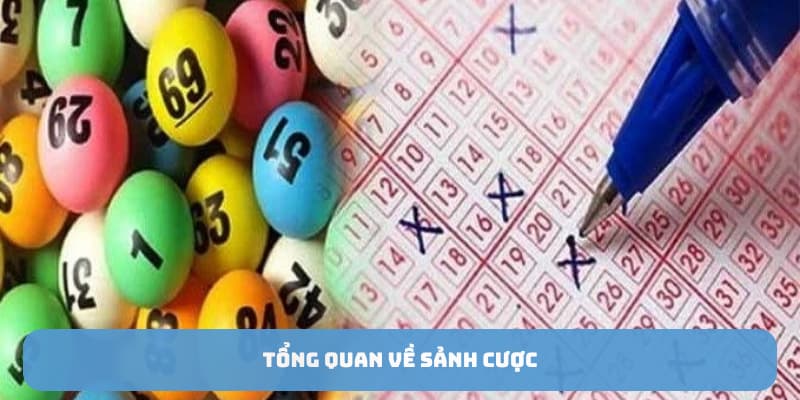 Tổng quan về sảnh cược